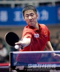 王励勤个人资料简介,乒乓球界的传奇巨星，辉煌成就与运动生涯回顾