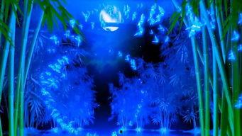 舞蹈孔雀飞来背景视频,孔雀飞来，翩翩起舞的视觉盛宴