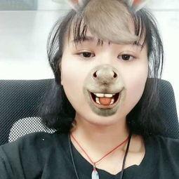 小布丁明星,闪耀童心的甜蜜使者