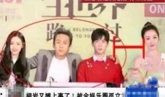 娱乐圈疏远柳岩,揭秘背后真相与影响